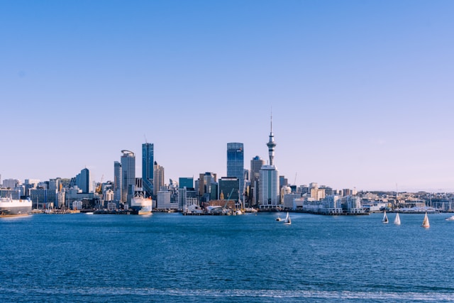 Exploring the AI Training Program in New Zealand